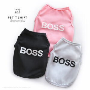 เสื้อแมว หมา สัตว์เลี้ยง สไตล์ Modern