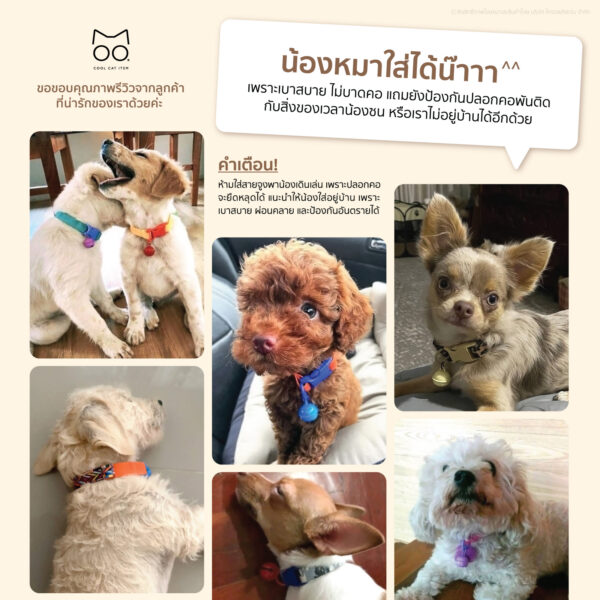 ปลอกคอแมวนิรภัย ยางยืด รุ่น Safe & Soft : เซตสีน้ำเงิน - Image 3