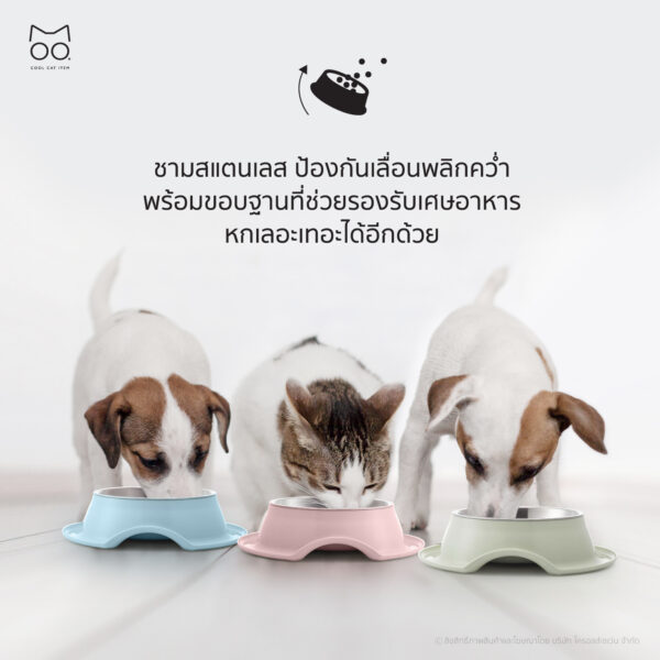 ชามสแตนเลสสัตว์เลี้ยง หมาแมว ป้องกันเลื่อนพลิกคว่ำ - Image 2